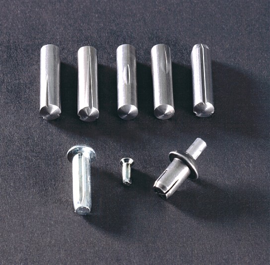 salca srl spine spine